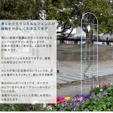 クラシックフェンス220 ハイタイプ 4枚組 フェンス アイアン ガーデンフェンス ガーデニング 枠 柵 仕切り 目隠し 境目 クラシカル アンティーク トレリス ベラン