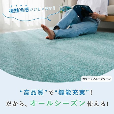 夏ラグ 夏用カーペット ラグ ラグマット カーペット 夏用 夏 接触冷感 絨毯 防臭 正方形 長方形 防虫 防ダニ 北欧 柄 おしゃれ 可愛い 洗える シャギーラグ オールシーズン 遊び毛が出にくい