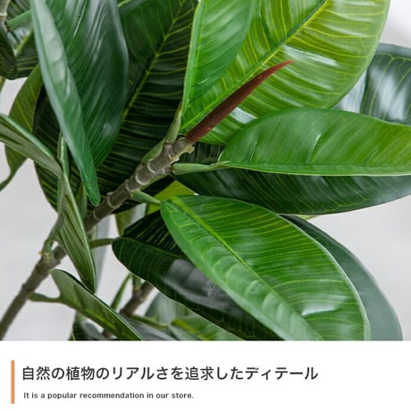 ナチュレ Nature パキラ 観葉植物 人工 フェイクグリーン 室内 リビング オフィス 一人暮らし 緑 インテリア 光触媒 空気清浄 消臭 抗菌 防汚 ホルムアルデヒド分解 高