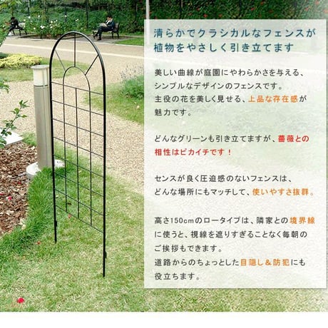 クラシックフェンス ロータイプ 2枚組 フェンス ゲート 扉 アイアン ガーデンフェンス ガーデニング 枠 柵 仕切り 目隠し 境目 クラシカル アンティーク トレリス
