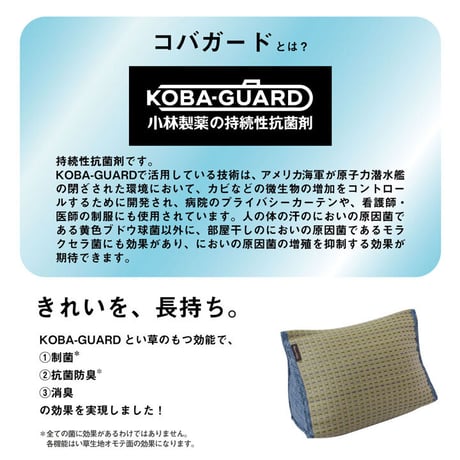 くつろぎ系 クッション 座布団 クリア 40×30×H20cm