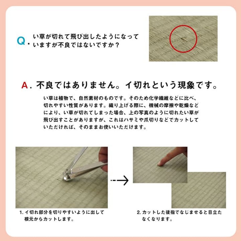 67c101985ab45e0001e70b83