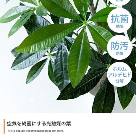 ナチュレ Nature パキラ 観葉植物 人工 フェイクグリーン 室内 リビング オフィス 一人暮らし 緑 インテリア 光触媒 空気清浄 消臭 抗菌 防汚 ホルムアルデヒド分解 高