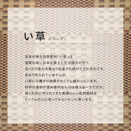 ふっくら　い草ラグ　キハチ　はっ水　すべりにくい