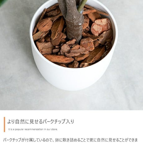 観葉植物 人工 フェイクグリーン 室内 リビング オフィス 一人暮らし 緑 インテリア インテリアグリーン パキラ 120cm ファイバークレイ製 プランター & バークチップ 付