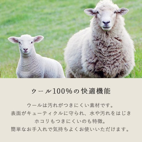 ラグ チェアパッド 丸 35cm ウール調 椅子 クッション 座布団 北欧 おしゃれ 韓国インテリア 円形 チェアマット ムートン風 ふわふわ 高密度 ボア 滑り止め付き 玄関マット ベッドサイド