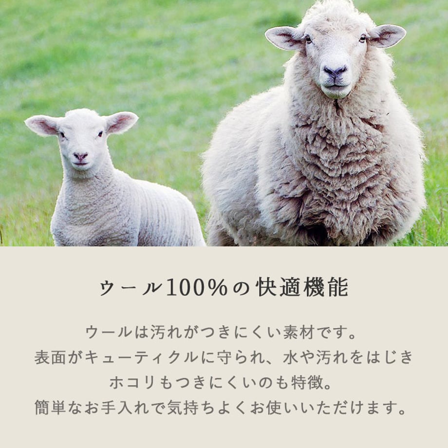 6a3cd6f4ff05040001162159