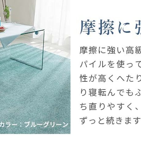 夏ラグ 夏用カーペット ラグ ラグマット カーペット 夏用 夏 接触冷感 絨毯 防臭 正方形 長方形 防虫 防ダニ 北欧 柄 おしゃれ 可愛い 洗える シャギーラグ オールシーズン 遊び毛が出にくい