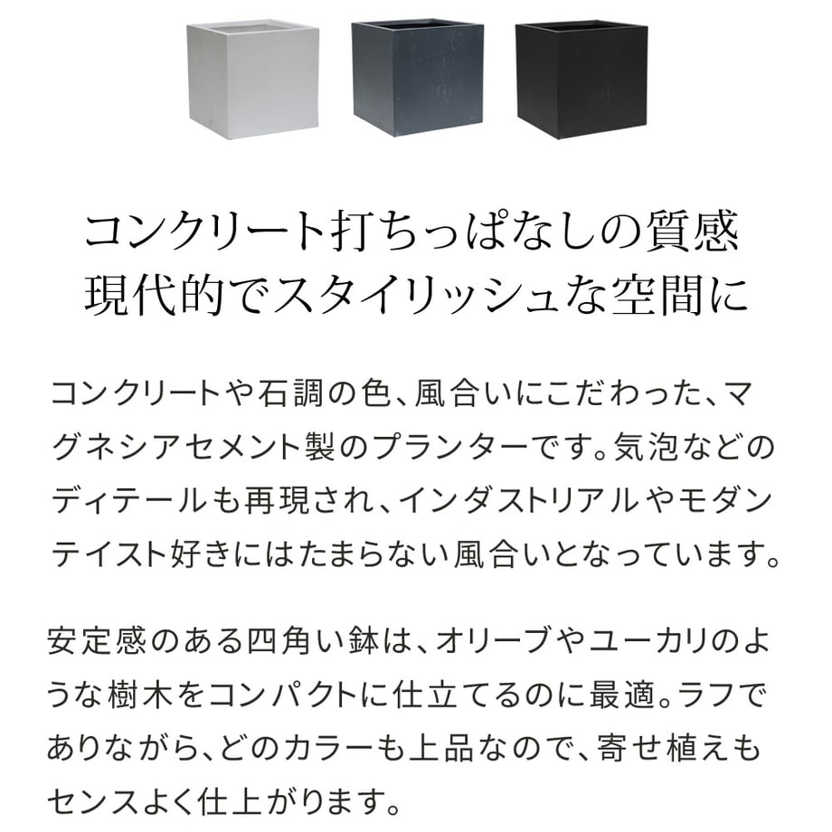 67935401e6a77c0001164635