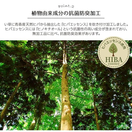 花ござ カーペット DXセレナCP 174×174cm 江戸間2畳