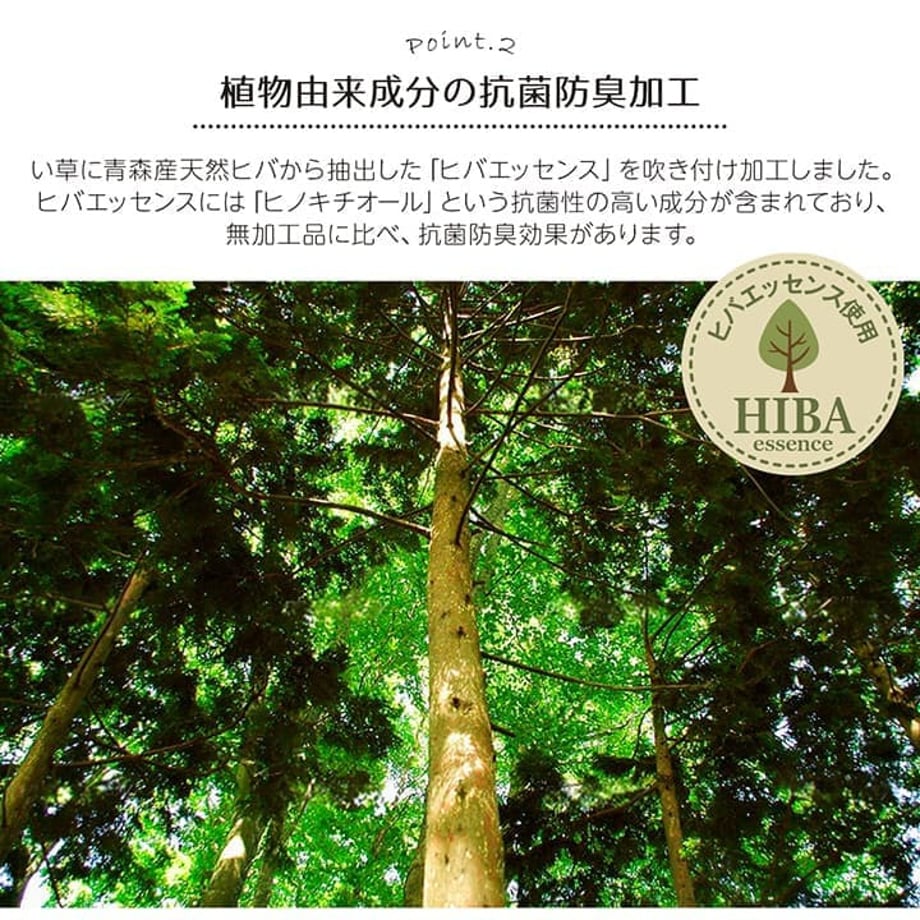 67c11cfbc49f1800011c697e