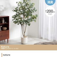 【高さ200cm】光触媒人工観葉植物 ユーカリ 幅70cm×奥行60cm×高さ200cm オフィス 天然木 ポリエステル 組立品 お部屋に気軽に飾れて空間を美しく彩るフェイクグリーン 本物の植物のよ