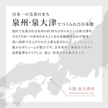 綿入り毛布 140X200 CR
