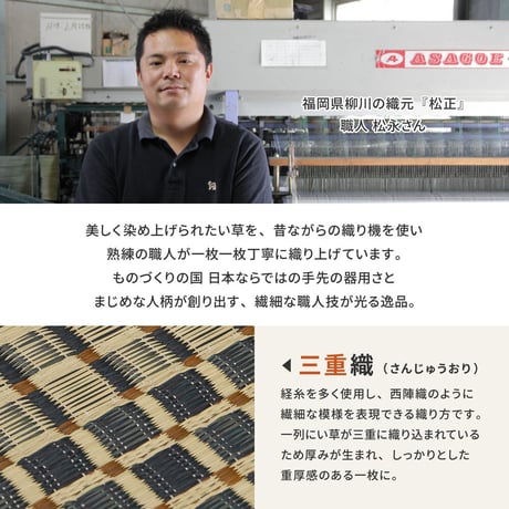 国産い草ラグ　栄山