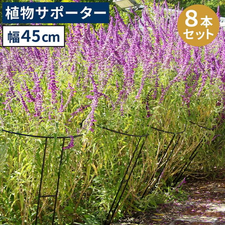アイアン製植物サポーター 幅45 8本セット IF-N0047-8P 奥行23 高さ85 ハーフリング 倒れ防止 広がり抑制 スチール 鉄製 支柱 園芸 植物サポート フラワーサポート 菜園 花壇