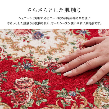 ゴブラン織りの玄関マット　ザイン