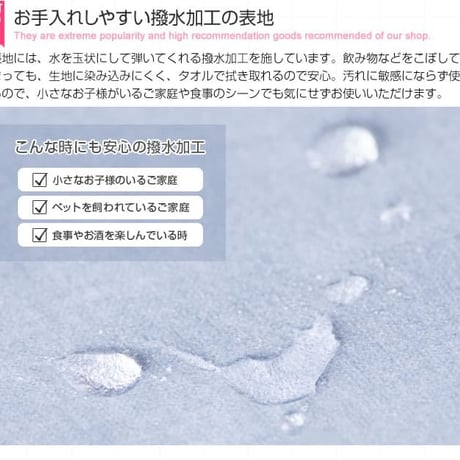 ソファ ダイニングソファ ダイニングチェア 2脚セット 2脚 2点セット 2点 セット 撥水 1人 1人掛け 1人用 一人掛け 1P ソファー チェア チェアー 椅子 いす sof