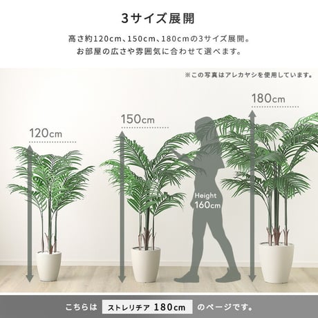 お手入れ簡単 フェイクグリーン ストレリチア Lサイズ(180cm)