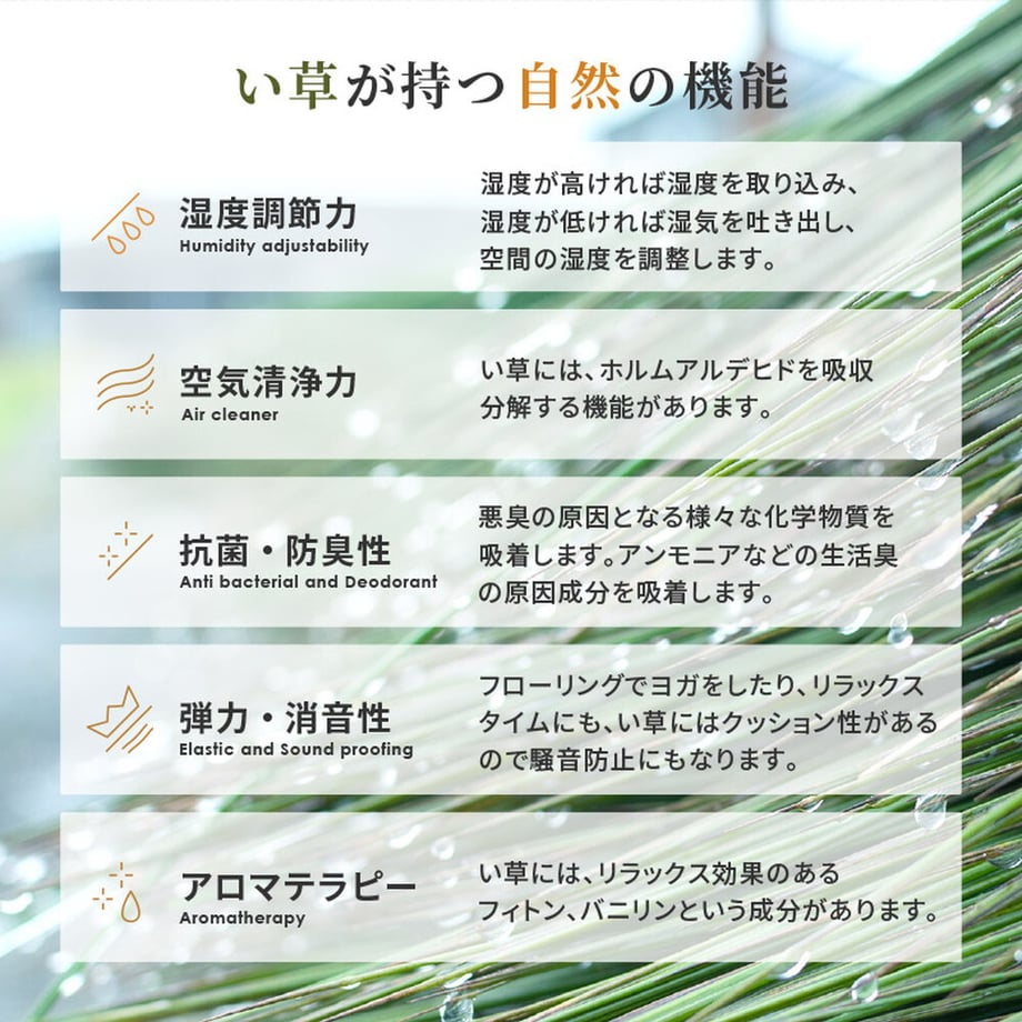 67c967d59637340001cbe686
