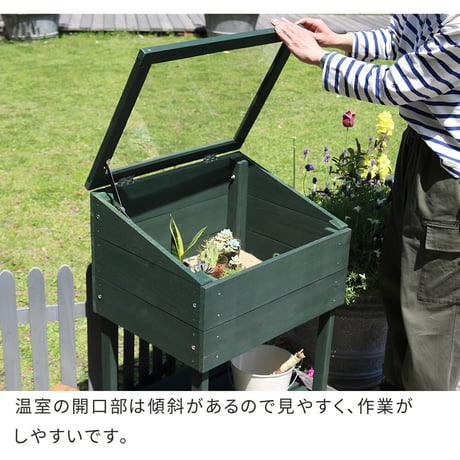 木製窓付グリーンハウス （温室） 「OWN」（オウン） GRH45DGR　温室 木製 ウッド 簡易 観葉植物 多肉植物 ガーデン 園芸 おしゃれ 飼育 ケース 保温