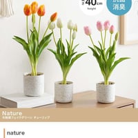 【高さ40cm】光触媒人工観葉植物 チューリップ 幅18cm×奥行18cm×高さ40cm お部屋に気軽に飾れて空間を美しく彩るフェイクグリーン 本物の生花のようなリアルな質感とインテリアに馴染む風合