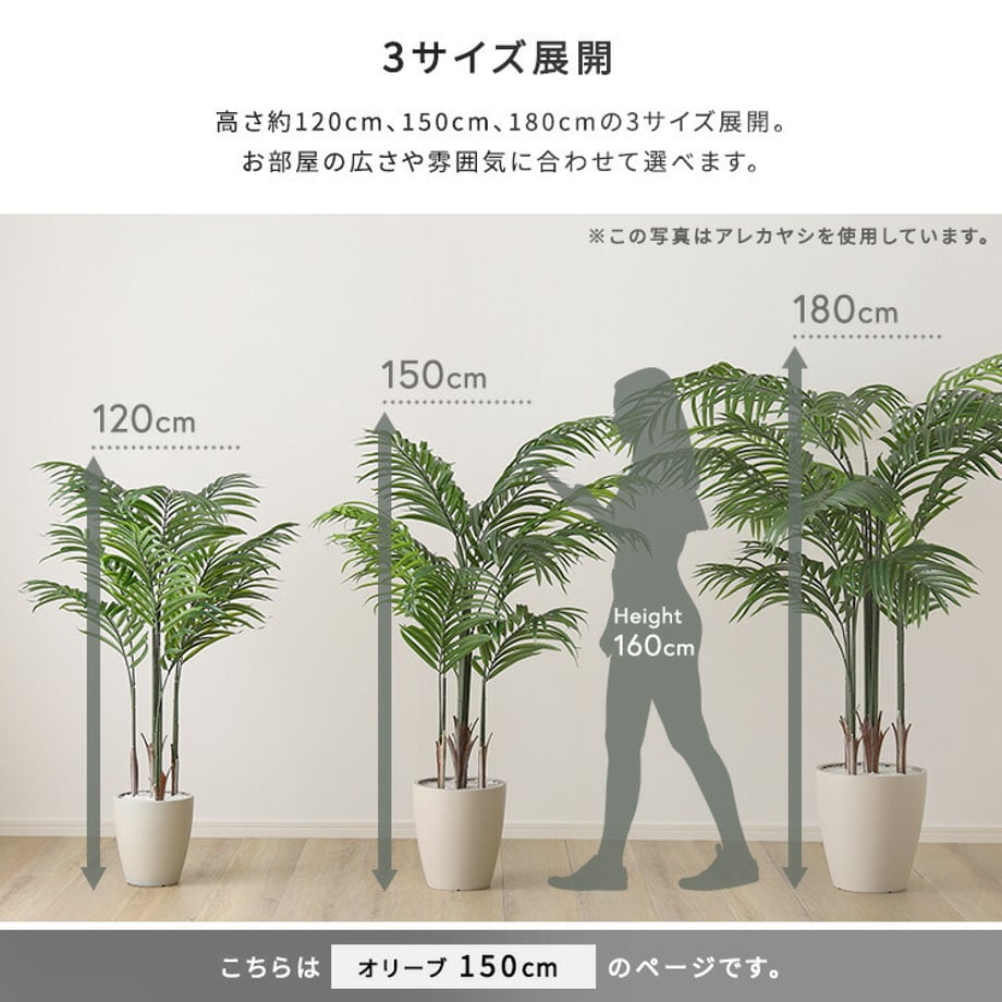 67a8347586db81000193eb74
