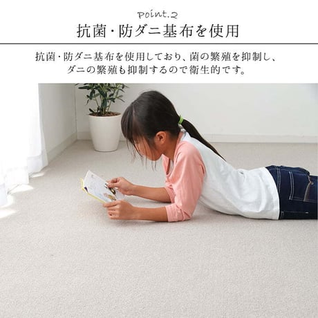 無地ラグ カーペット フリッシュ 261×352cm 江戸間6畳