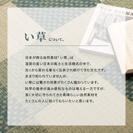 裏付き  市松柄　い草カーペット　うしお　江戸間8畳