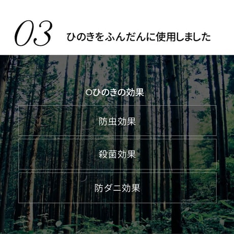頑丈すのこ ひのきベッド ベッド ひのきベッド 島根県産高知四万十産 頑丈ひのきすのこベッド 耐荷重500キロ 耐久試験で1トンの荷重に耐えた頑丈タイプ 日本製 組立簡単 完全無塗装