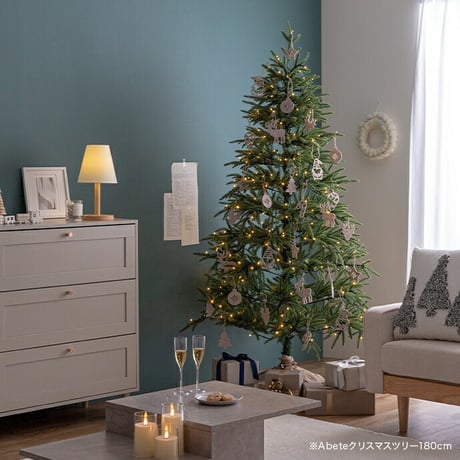 フェルトオーナメント 14点セット Talvi タルヴィ クリスマスツリーオーナメント ツリー飾り クリスマス 飾り付け 装飾 サンタ トナカイ スター ボール ステッキ リビング