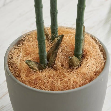 観葉植物 アレカヤシ 170センチ ミニ コンパクト 屋内 リアル お手入れ不要 鉢植え 光触媒加工 消臭効果 抗菌効果 防臭 ボタニカル ガーデニング 室内 グリーン お洒落 おしゃれ 北欧 リゾ