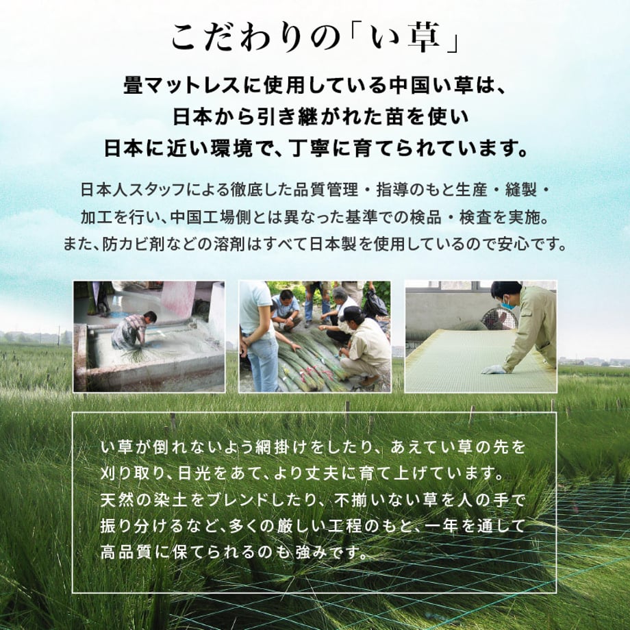 6981a5a107d2c40001e55f98