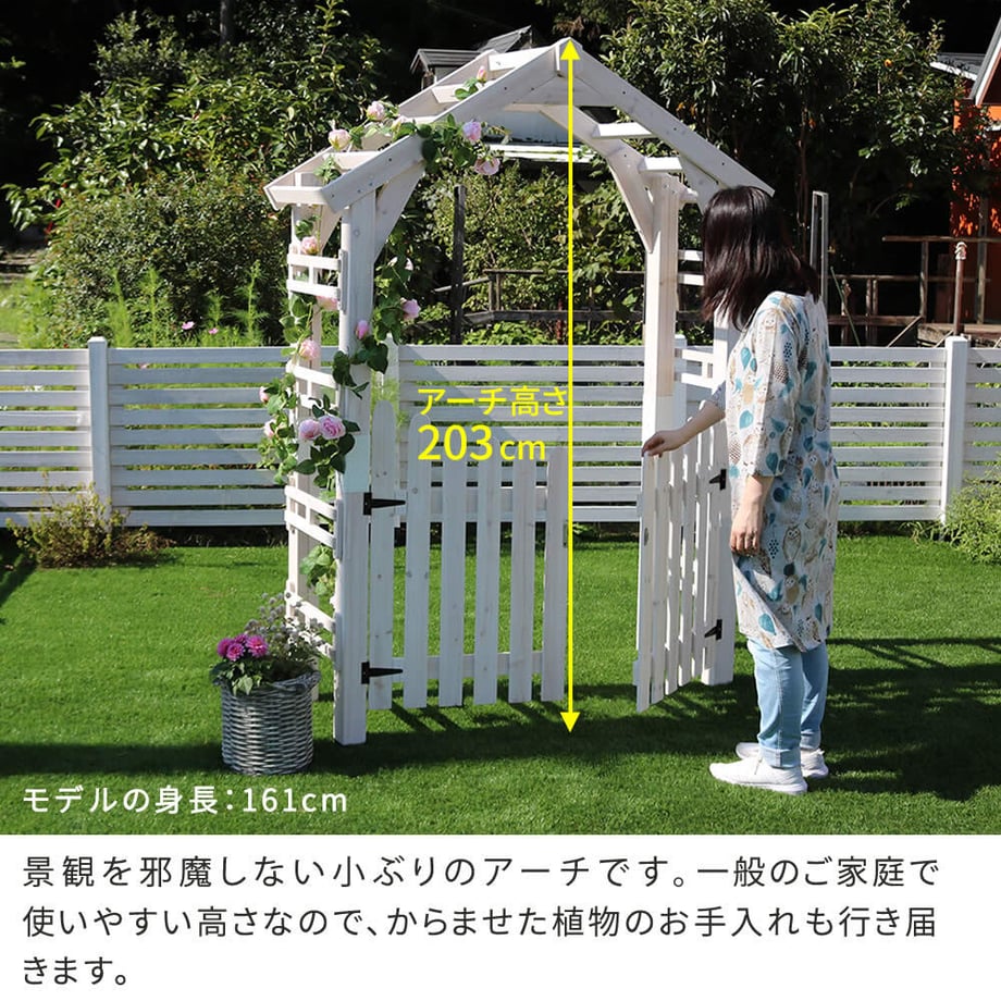 679354a5e6a77c000116468f