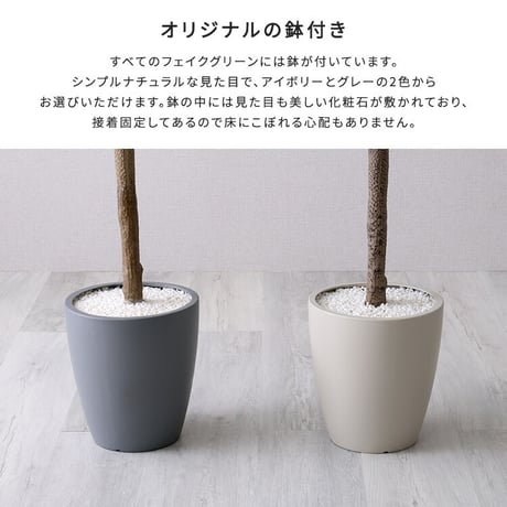 お手入れ簡単 フェイクグリーン フィカス・リラータ Mサイズ(150cm)