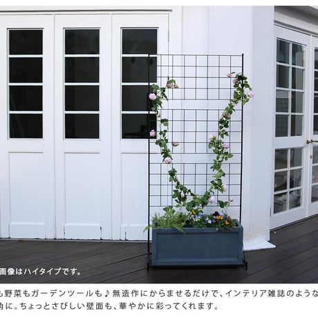 プランター台付フェンス ロータイプ 「グラフ」  フェンス ゲート 扉 アイアン ガーデンフェンス ガーデニング 枠 柵 仕切り 目隠し 格子 ベランダ つる 薔薇 バラ