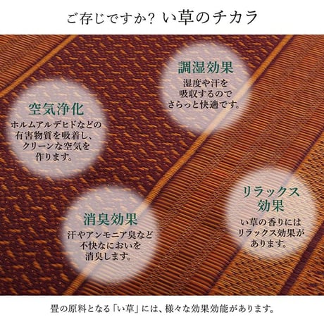 廊下敷 マット ランクス 80×240cm