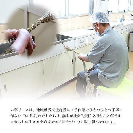 置物 雑貨 イ草リース 20Rcm