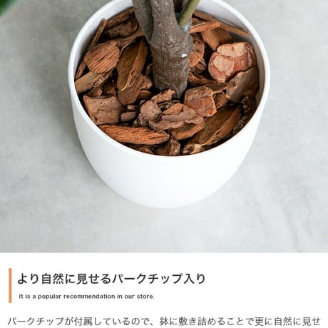 ナチュレ 観葉植物 オリーブ フェイクグリーン 人工 室内 リビング オフィス 一人暮らし 緑 光触媒 空気清浄 消臭 抗菌 防汚 ホルムアルデヒド分解 高さ150cm 造花 おし