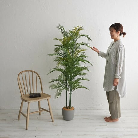観葉植物 アレカヤシ 170センチ ミニ コンパクト 屋内 リアル お手入れ不要 鉢植え 光触媒加工 消臭効果 抗菌効果 防臭 ボタニカル ガーデニング 室内 グリーン お洒落 おしゃれ 北欧 リゾ