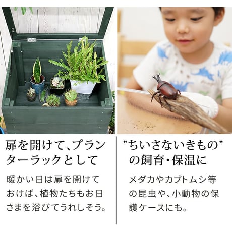 木製窓付グリーンハウス （温室） 「OWN」（オウン） GRH45DGR　温室 木製 ウッド 簡易 観葉植物 多肉植物 ガーデン 園芸 おしゃれ 飼育 ケース 保温