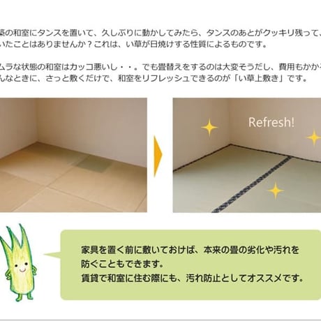 い草 上敷 カーペット 梅花 277×277cm 六一間4.5畳