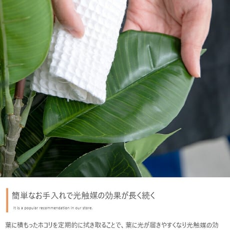 フェイクリーフ ユーカリ グリーン 85 cm おしゃれ かわいい シンプル おしゃれ 新生活 リビング 寝室 玄関 書斎 窓辺 食卓 丸 北欧インテリア雑貨 ナチュラル 人工 造