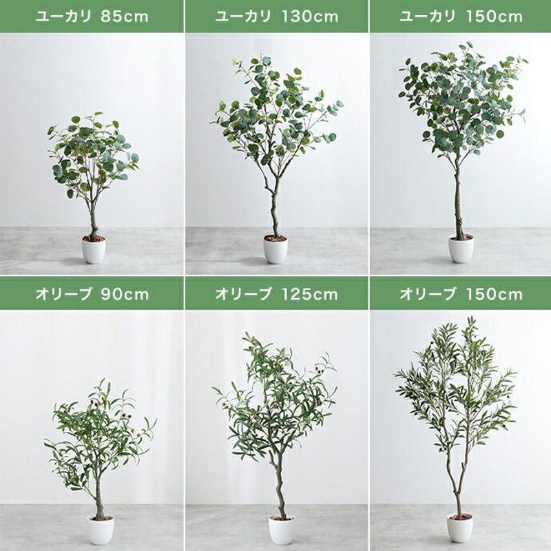 フェイクグリーン 大型 玄関 ユーカリ ユーカリの木 150cm 鉢植え