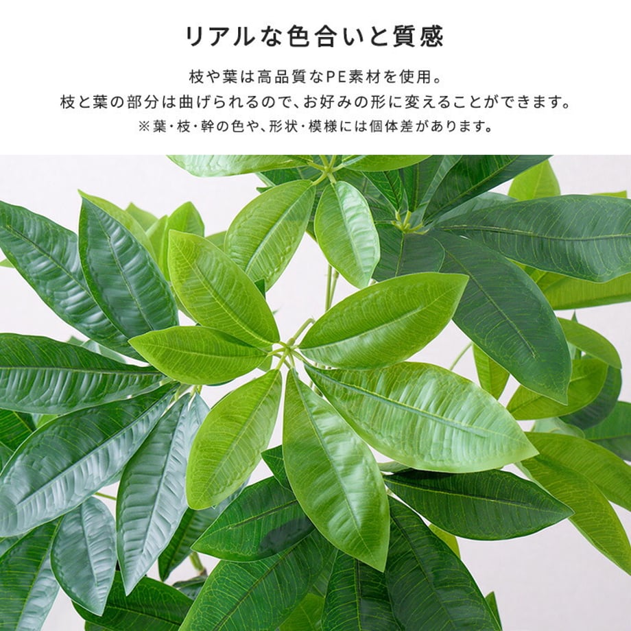 67a834b886db81000193eba4