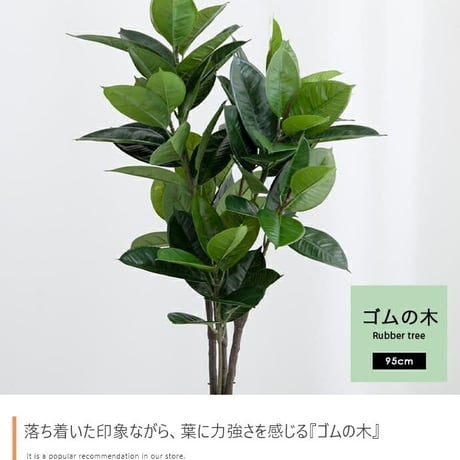 ゴムの木 ラバープラント 95cm 人工観葉植物 リアル フェイクグリーン 観葉植物 造花 鉢植 インテリア おしゃれ フェイク グリーン 光触媒 CT触媒 消臭 抗菌 贈り物 プ