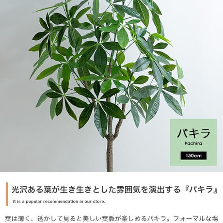 パキラ 観葉植物 人工 フェイクグリーン 室内 リビング オフィス 一人暮らし 緑 インテリア 光触媒 空気清浄 消臭 抗菌 防汚 ホルムアルデヒド分解 おしゃれ 高さ150cm