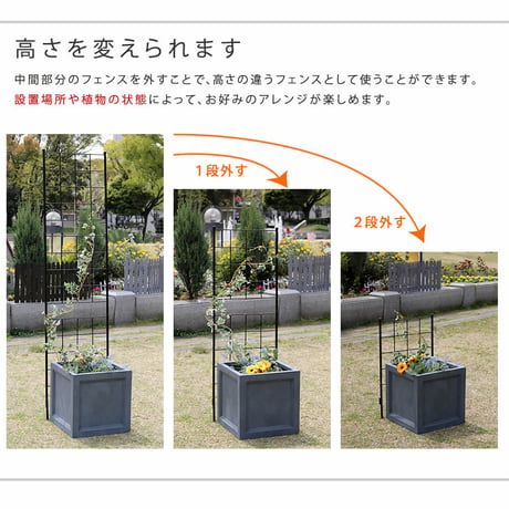 アイアンフェンス 高さ176 スリム「グラフ」 2枚組  フェンス アイアン ガーデンフェンス ガーデニング 枠 柵 仕切り 目隠し 境目 クラシカル アンティーク 格子