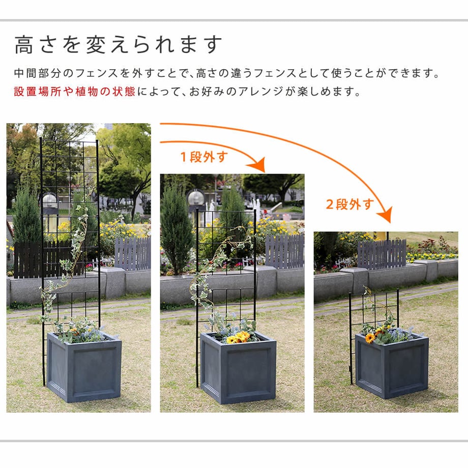 679325e1db80ba0001a64d19