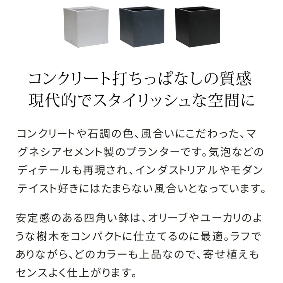 679353e6e6a77c0001164625