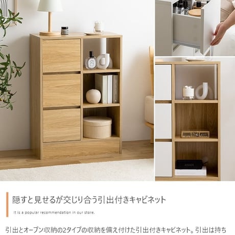 カウンター下収納 引き戸 薄型 キッチン カウンター下 収納 本棚 スリム 食器棚 ミニ食器棚 ロータイプ カウンター収納 薄型収納 ラック 台所 可動棚 スリム収納 北欧キャビ